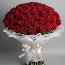 Букет 101 Красная роза Блэк Мэджик в Кукморе