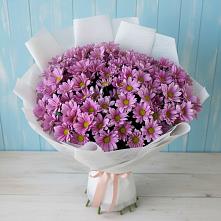 Букет цветов из:  Хризантемы в Кукморе