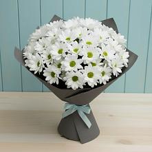 Букет цветов из:  Хризантемы в Кукморе