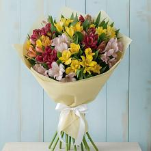Букет цветов из:  Альстромерии #REPLACE_PRED# Кукморе