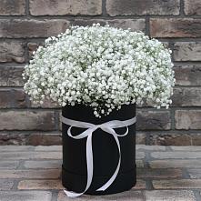 Цветочная композиция из Гипсофила в шляпной коробке в Кукморе